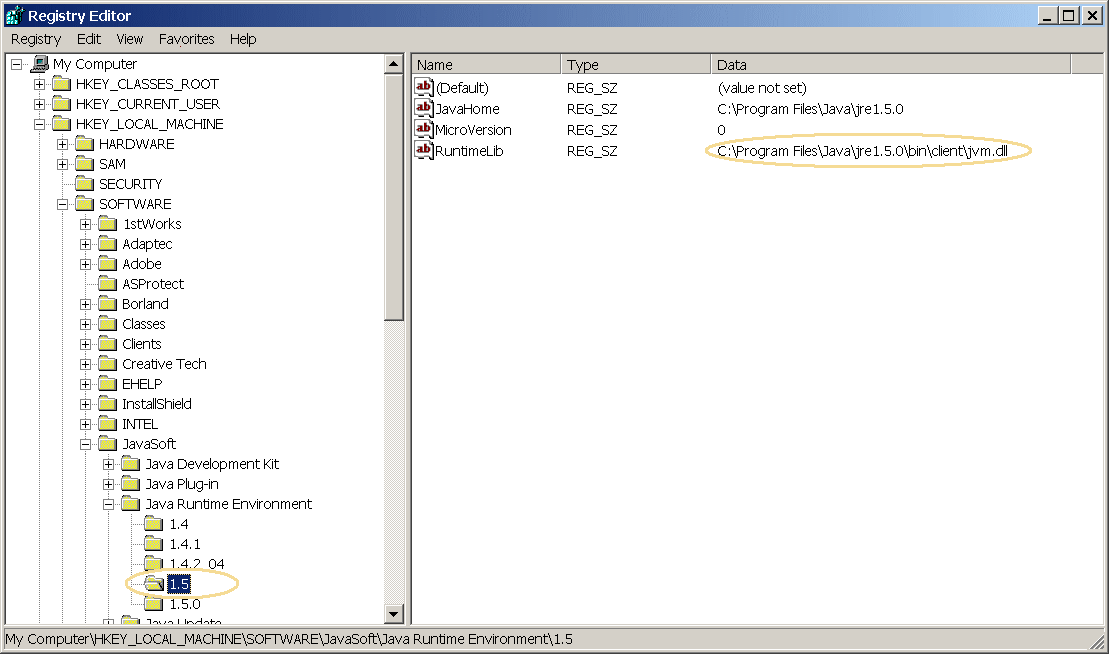 5. In the right side panel, note the value for RuntimeLib. In this case, it is C:Program FilesJavajre1.5.0inclientjvm.dll.